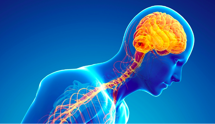 An Illustration of a Patient with Parkinson's Disease
