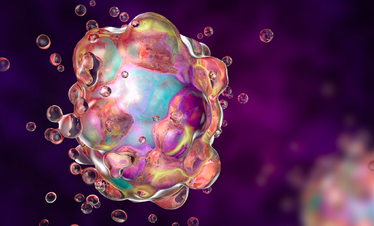 An artist's rendition of a cell undergoing apoptosis