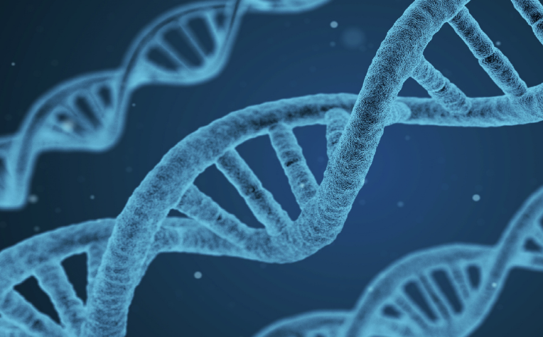 Circulating DNA and microRNA are useful biomarkers in non-small cell lung cancer prognosis and treatment