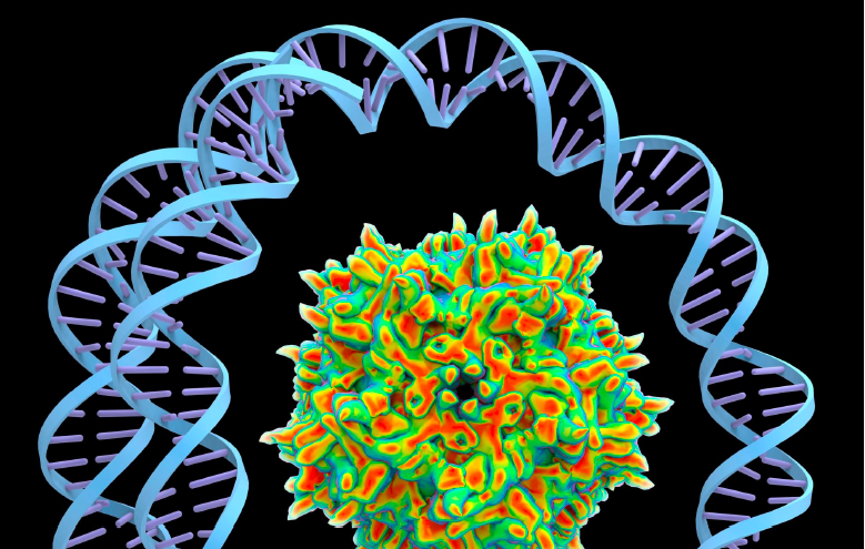 Gene Therapy for Hemophilia