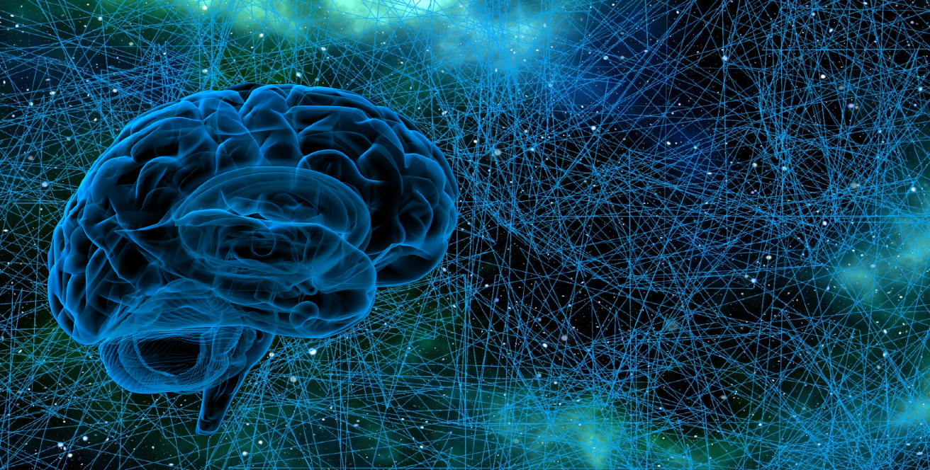 A model of a brain seen against an intricate web.