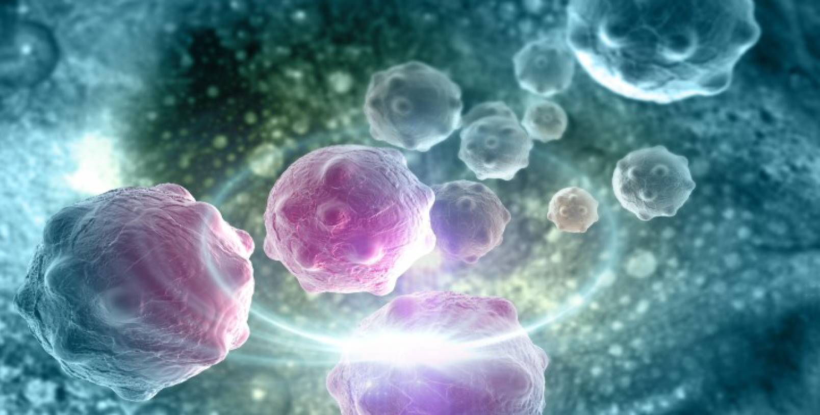 An illustration of the tumor microenvironment.